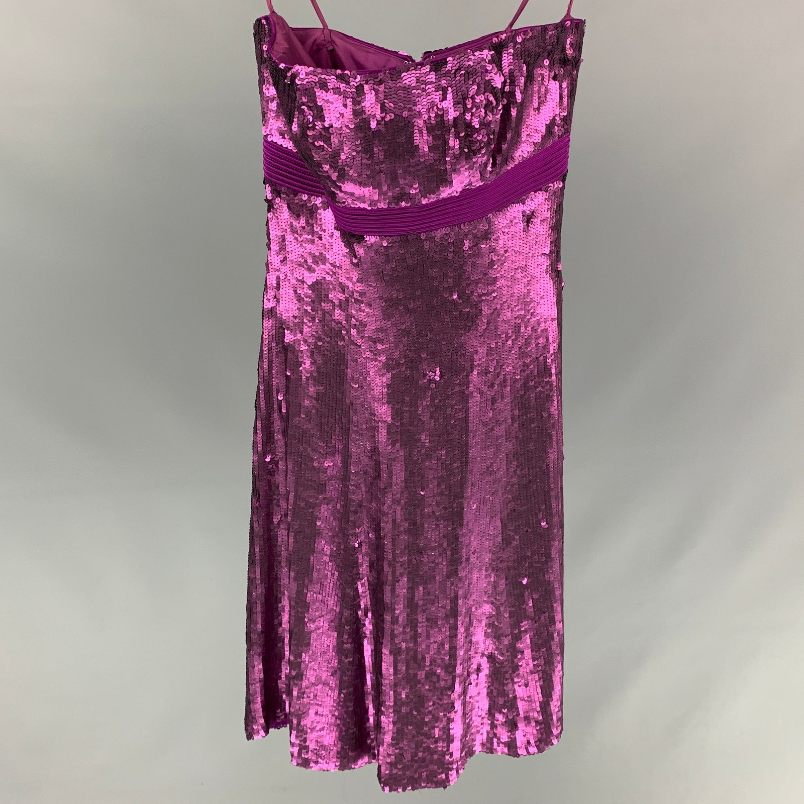 Badgley Mischka Size 0 Purple Silk Sequined Strapless Above Knee Dress
